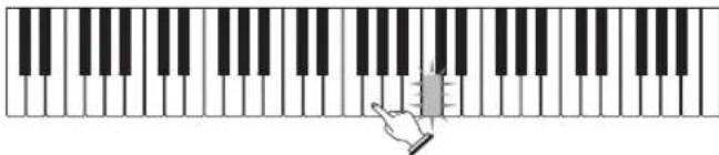 CASIO LK-46 - Zubehör und Sonderzubehör - 10