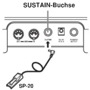 CASIO LK-46 - SUSTAIN-Buchse - 1