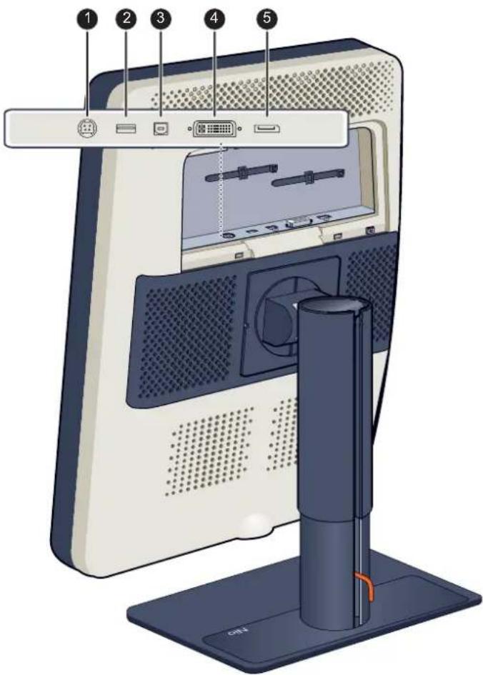 Diagram of a desktop computer monitor with labeled ports and ports, showing front panel and rear panel views.