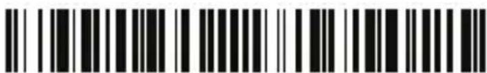 HONEYWELL 3800i USB Kit - Anleitungen zur Eingabe von Datenformaten - 3