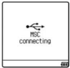 MSC connecting