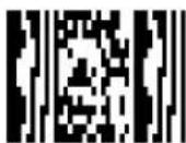 Code Corporation CR3500 - - Micro PDF417 Symbology - 3