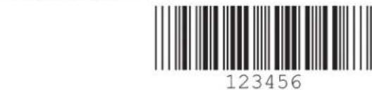 123456