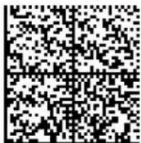 Black and white QR code image containing encoded data