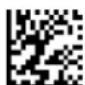 Code Corporation CR2500 - - Bluetooth Radio Auto Connect - 1