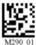 Code Corporation CR2500 - - MSI Plessy Symbology - 2