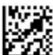 Code Corporation CR2500 - - Data Matrix Symbology - 6