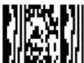Code Corporation CR2500 - - Micro PDF417 Symbology - 3