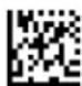 Code Corporation CR2500 - - Mirror Decoding - 1