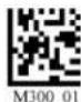 Code Corporation CR2500 - - Micro PDF417 Symbology - 2