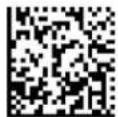 Code Corporation CR2500 - - Global Trigger Optimization Matrix - 2