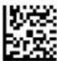 Code Corporation CR2500 - - Continuous Scan - Trigger Delays - 1