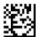 Code Corporation CR2500 - - Mirror Decoding - 2