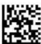 Code Corporation CR2500 - - Continuous Scan - Duplicate Scan Suppression - 2