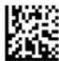 Code Corporation CR2500 - - Continuous Scan - Trigger Delays - 2