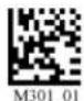 Code Corporation CR2500 - - Micro PDF417 Symbology - 1