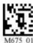 Code Corporation CR2500 - - Matrix 2 of 5 Symbology - 1