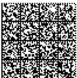 Black and white QR code image with grid lines, no readable text or symbols beyond the matrix pattern
