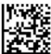 Code Corporation CR2500 - 1-Dimensional Codes ONLY (1024 X 200 pixels) - 1