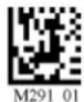Code Corporation CR2500 - - MSI Plessy Symbology - 1