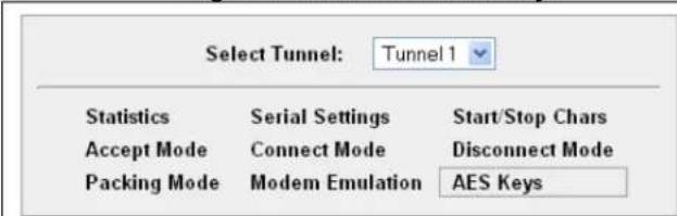 Select Tunnel: Tunnel 1 Statistics Serial Settings Start/Stop Chars Accept Mode Connect Mode Disconnect Mode Packing Mode Modem Emulation AES Keys