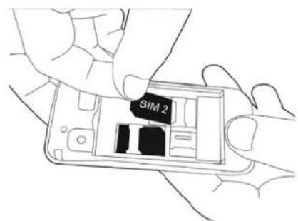 SIM 2