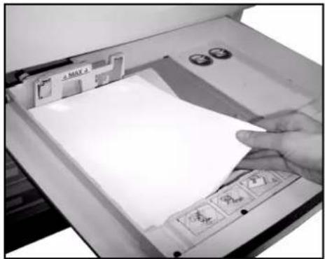 XEROX WorkCentre 5645V FRN - Druckmaterial einlegen. Dabei die Markierung für den maximalen Füllstand beachten. - 1