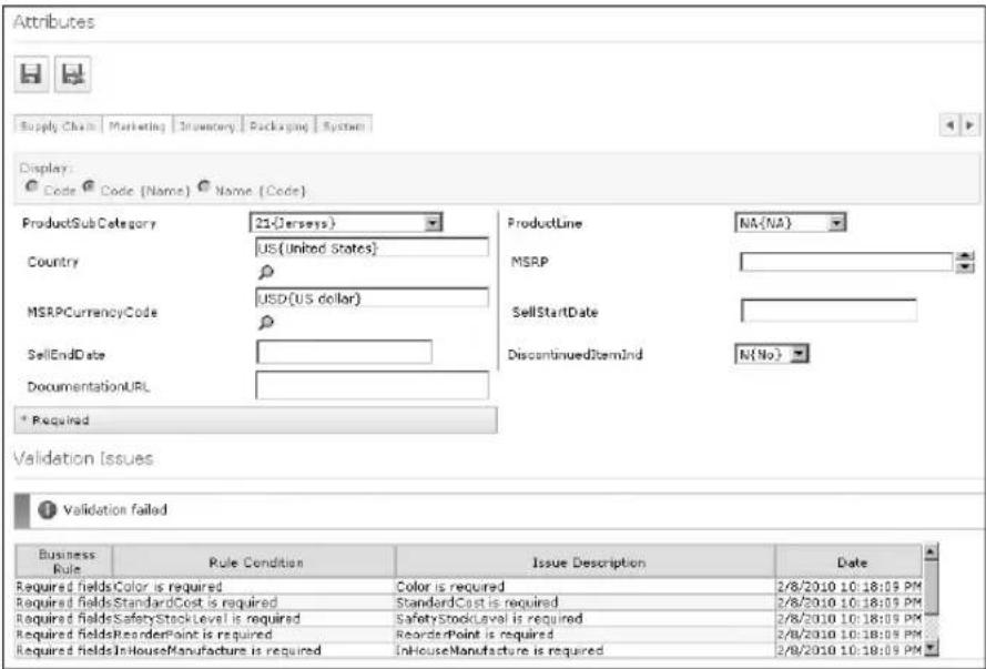 MICROSOFT SQL Server 2008 R2 - Master Data Maintenance - 2