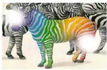 ZEBRA Z82 - B.4.2 Partial Transfer - 2