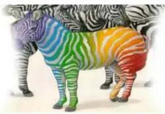 ZEBRA Z82 - B.4.2 Partial Transfer - 1