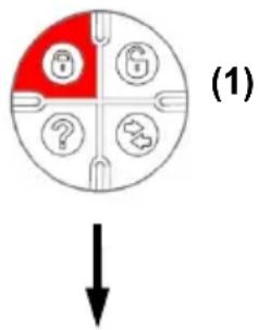 (1)