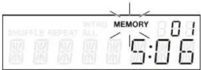 MEMORY 0.1 5:06