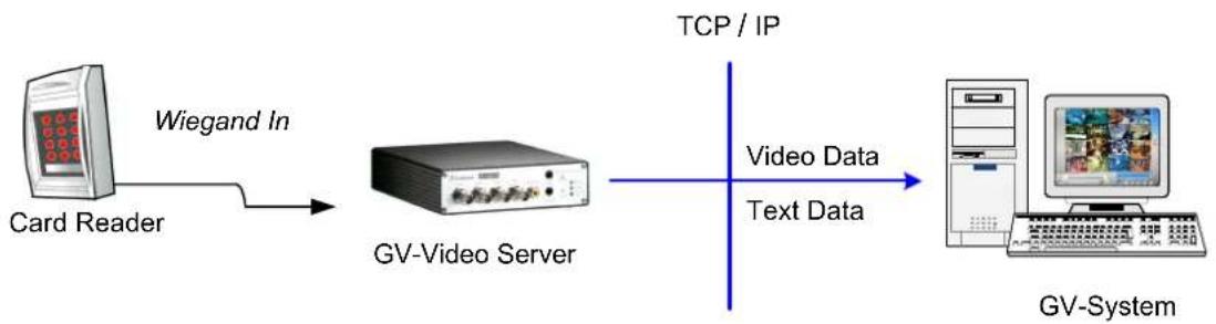 Geovision GV-VS14 - Receiving Cardholder Data from Video Server - 1