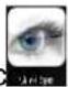 Geovision GV-VS14 - iPhone, iPod Touch and iPad - 2