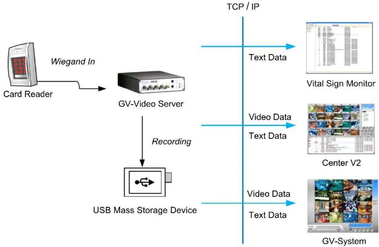 Geovision GV-VS14 - Wiegand Function - 1