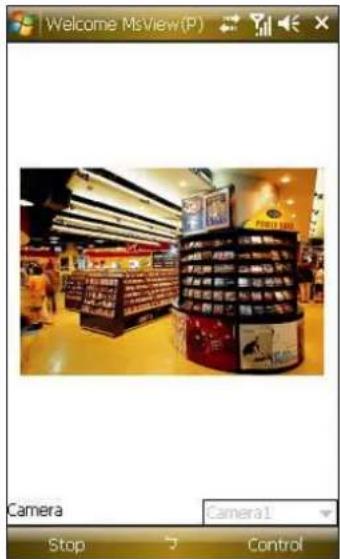 Welcome MsView(P) Camera Stop Control