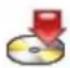 Geovision GV-VS11 - [Camera Status Icon] - 1