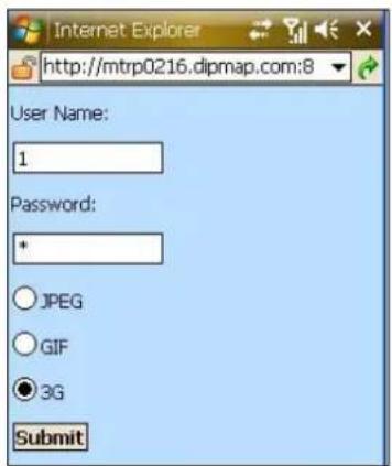 Internet Explorer http://mtrp0216.dipmap.com:8 User Name: 1 Password: * JPEG GIF 3G Submit
