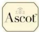 Ascot GT-WS-06w - Disposal - 3