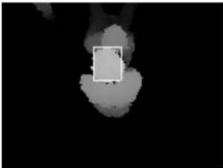 Geovision GV-3D - Detection Limitations - 14