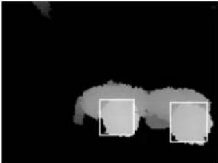 Geovision GV-3D - Detection Limitations - 4