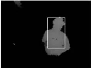 Geovision GV-3D - Detection Limitations - 2