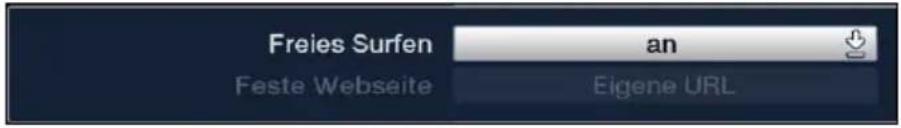 Freies Surfen Feste Webseite an Eigene URL