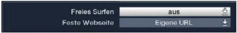 Freies Surfen Feste Webseite aus Eigene URL