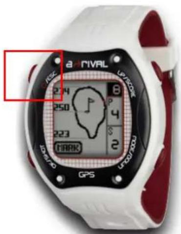 A-Rival Qaddy - Aktualisierung der Course Daten - 1