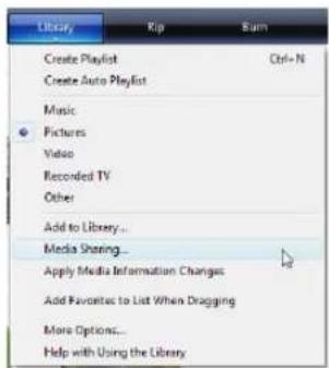 Library Create Playlist Create Auto Playlist Music Pictures Video Recorded TV Other Add to Library... Media Sharing... Apply Media Information Changes Add Favorites to List When Dragging More Options... Help with Using the Library