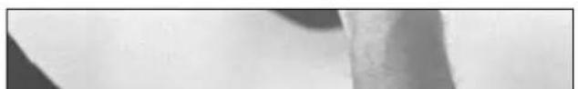 Close-up of a textured surface with no visible text, numbers, or symbols