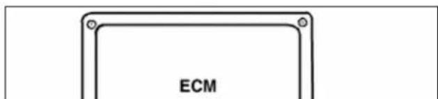 ECM