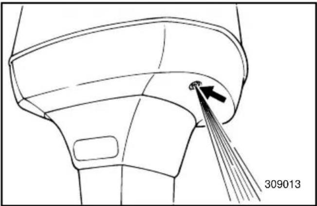 309013