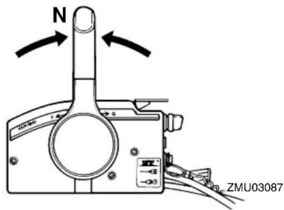 N ZMU03087